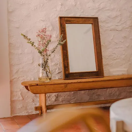 Flateli Santa Clara 11